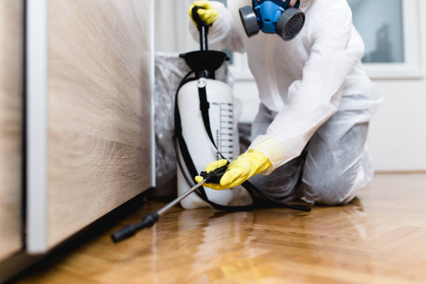 Best Bed Bug Extermination  in Springville, AL