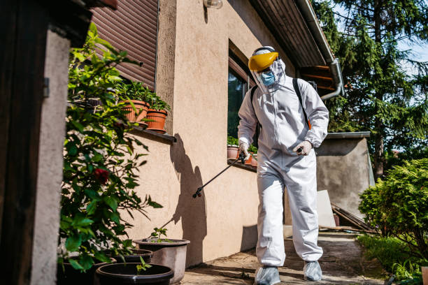Best Insect Control  in Springville, AL