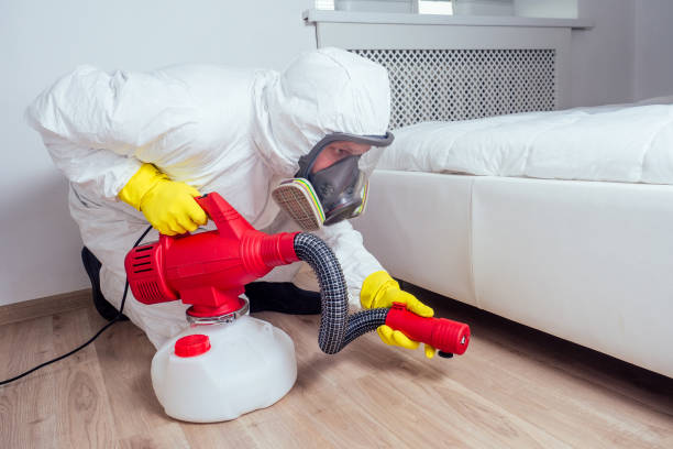 Best Best Pest Control Near Me  in Springville, AL