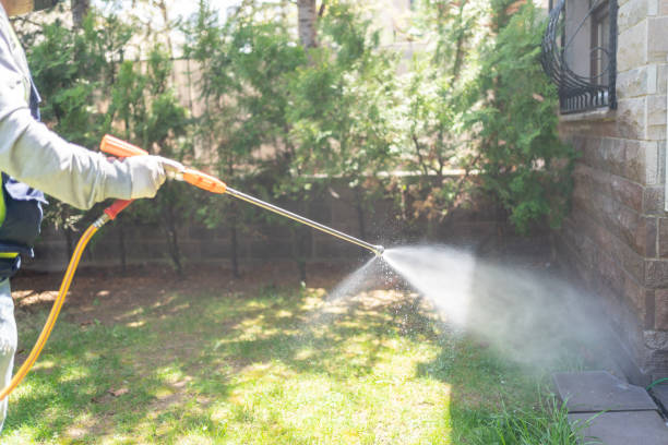 Best Commercial Pest Control Services  in Springville, AL
