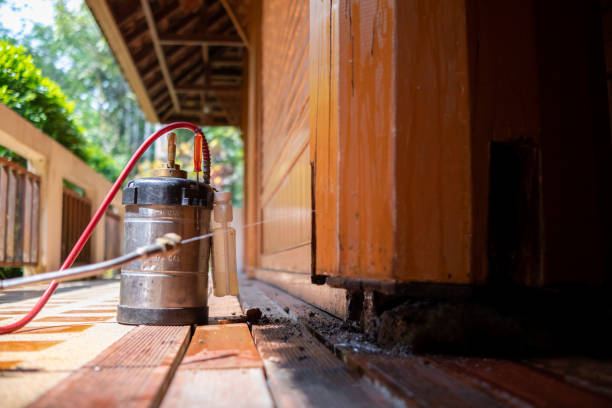 Best Best Pest Control Companies  in Springville, AL