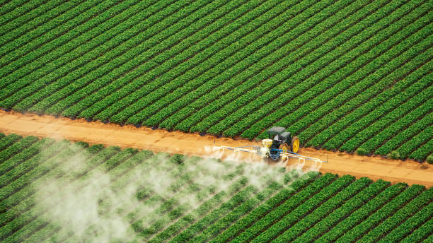 Pest Control Cost in Springville, AL