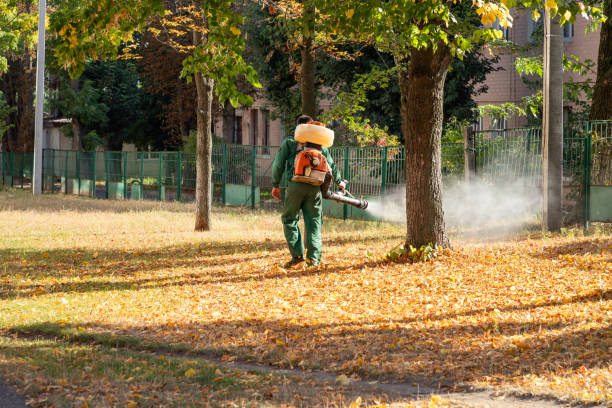 Best Best Pest Control Companies  in Springville, AL