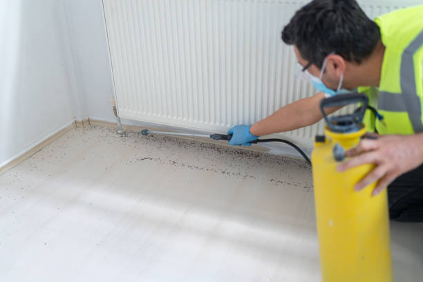Best Pest Control for Businesses  in Springville, AL