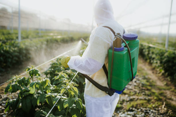 Best Emergency Pest Control  in Springville, AL